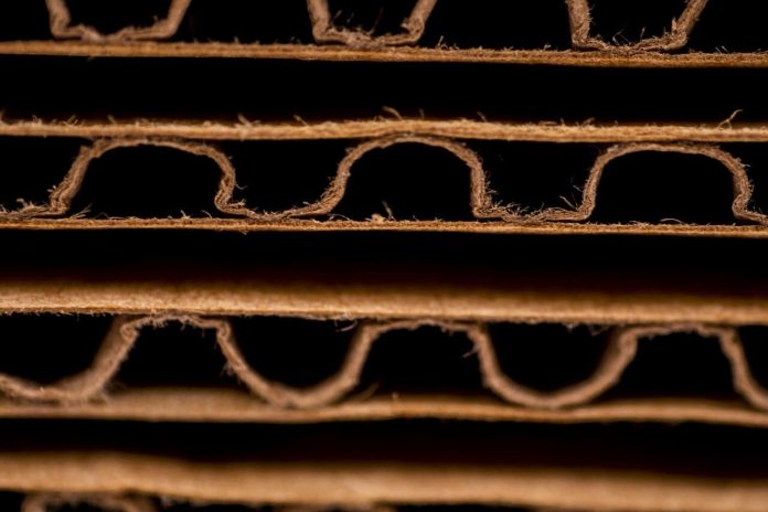 photography-ge3c30eba3_1280