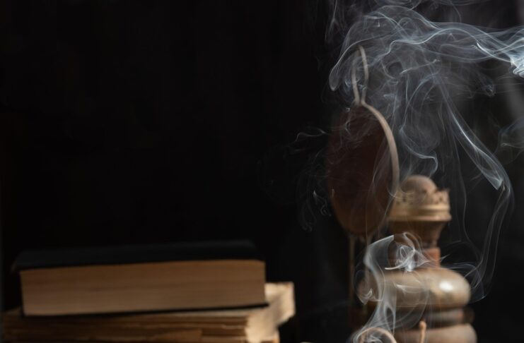 דנה כהן הלוי